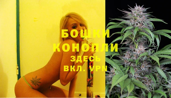 2c-b Магас